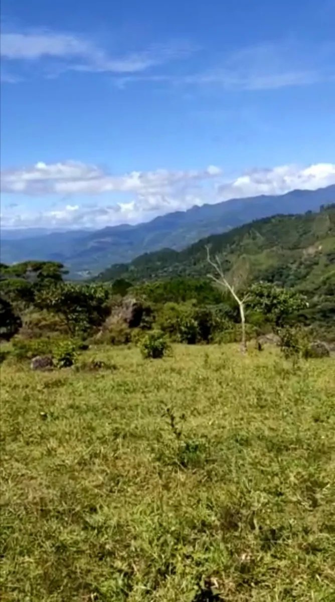 SALE LAND IN SANTA FE, VERAGUAS.