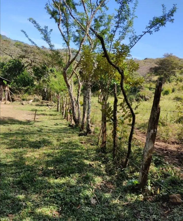 SALE LAND IN SANTA FE, VERAGUAS.