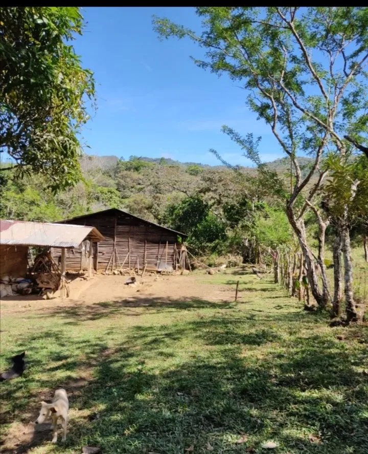 SALE LAND IN SANTA FE, VERAGUAS.