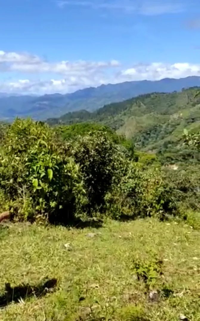 SALE LAND IN SANTA FE, VERAGUAS.