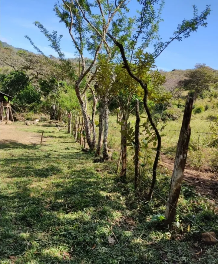 A LA VENTA TERRENO EN SANTA FE, VERAGUAS.