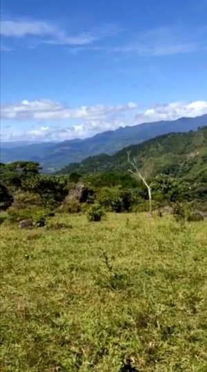 SALE LAND IN SANTA FE, VERAGUAS.