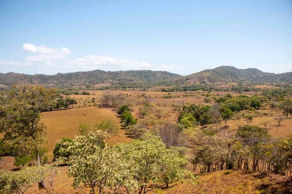 GREAT LAND FOR SALE IN AGUAS BLANCAS, VERAGUAS. OF 55 HECTARES