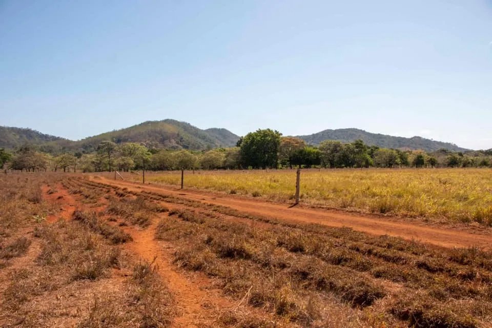 GREAT LAND FOR SALE IN AGUAS BLANCAS, VERAGUAS. OF 55 HECTARES