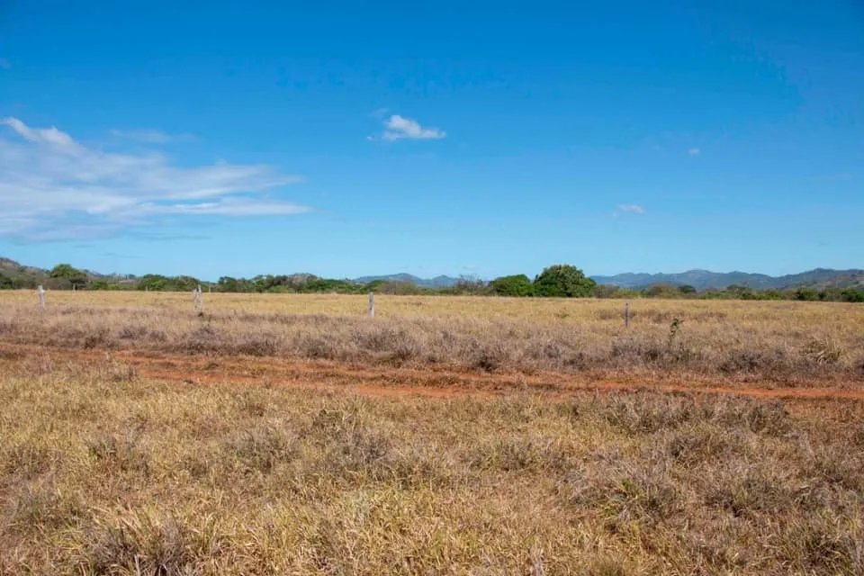 GREAT LAND FOR SALE IN AGUAS BLANCAS, VERAGUAS. OF 55 HECTARES