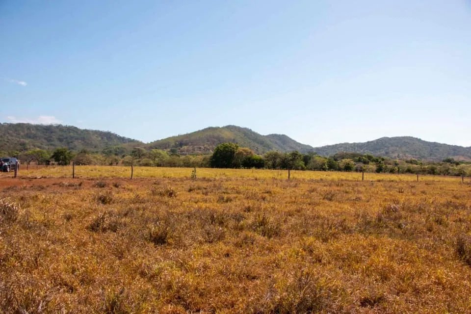 GREAT LAND FOR SALE IN AGUAS BLANCAS, VERAGUAS. OF 55 HECTARES