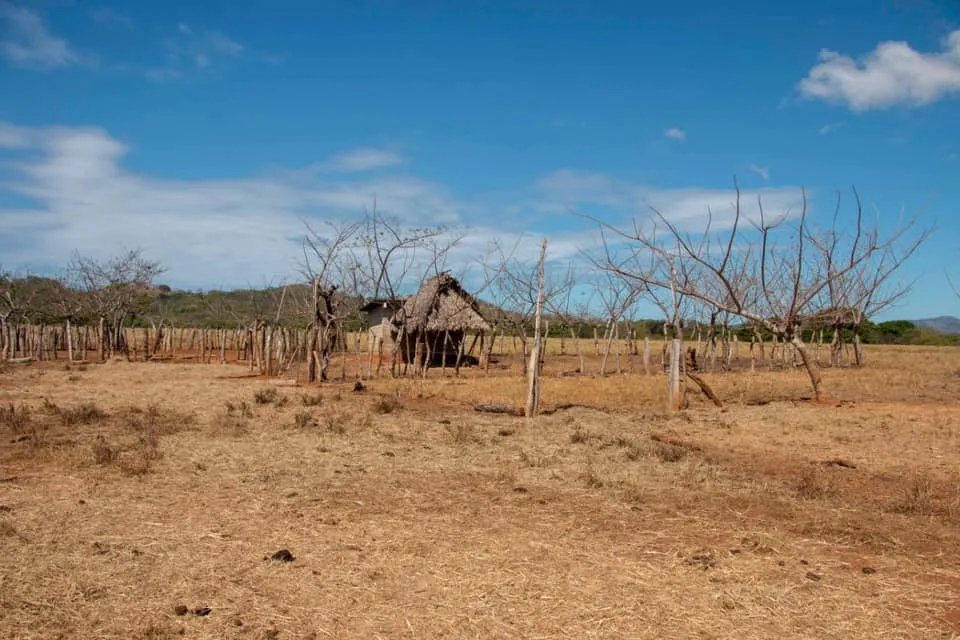 GREAT LAND FOR SALE IN AGUAS BLANCAS, VERAGUAS. OF 55 HECTARES