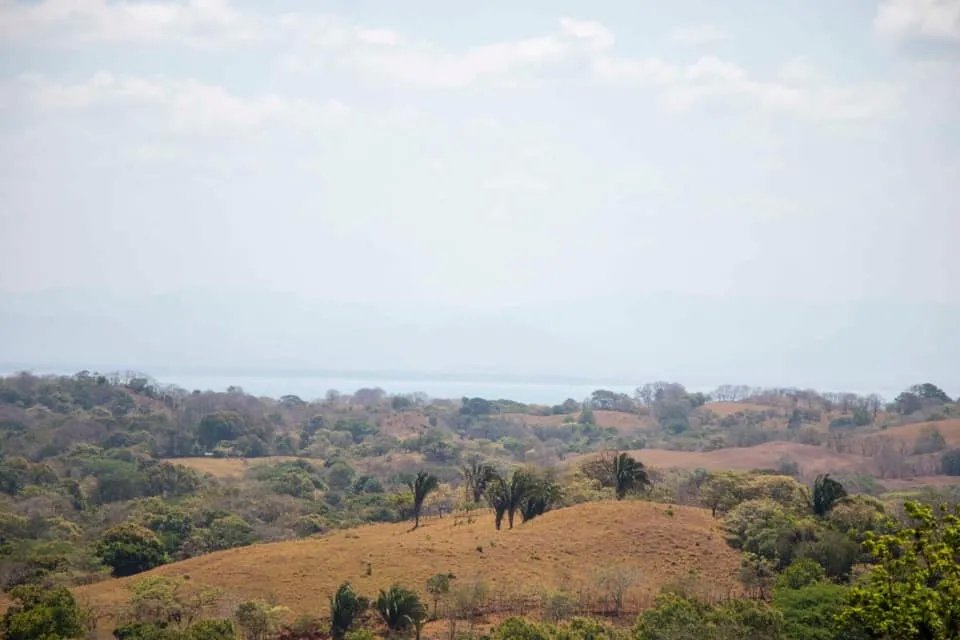 GREAT LAND FOR SALE IN AGUAS BLANCAS, VERAGUAS. OF 55 HECTARES