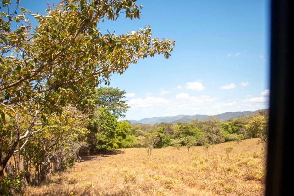 GREAT LAND FOR SALE IN AGUAS BLANCAS, VERAGUAS. OF 55 HECTARES