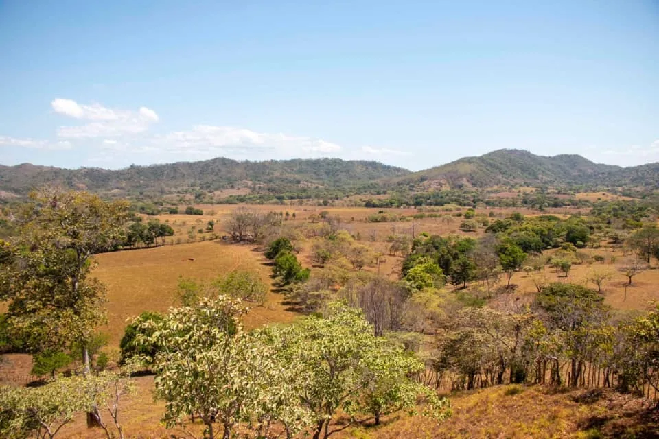 SE VENDE GRAN TERRENO EN AGUAS BLANCAS, VERAGUAS. DE 55 HECTAREAS