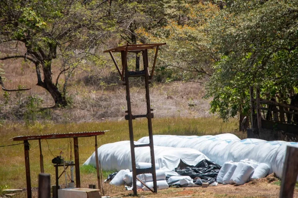 SE VENDE GRAN TERRENO EN AGUAS BLANCAS, VERAGUAS. DE 55 HECTAREAS