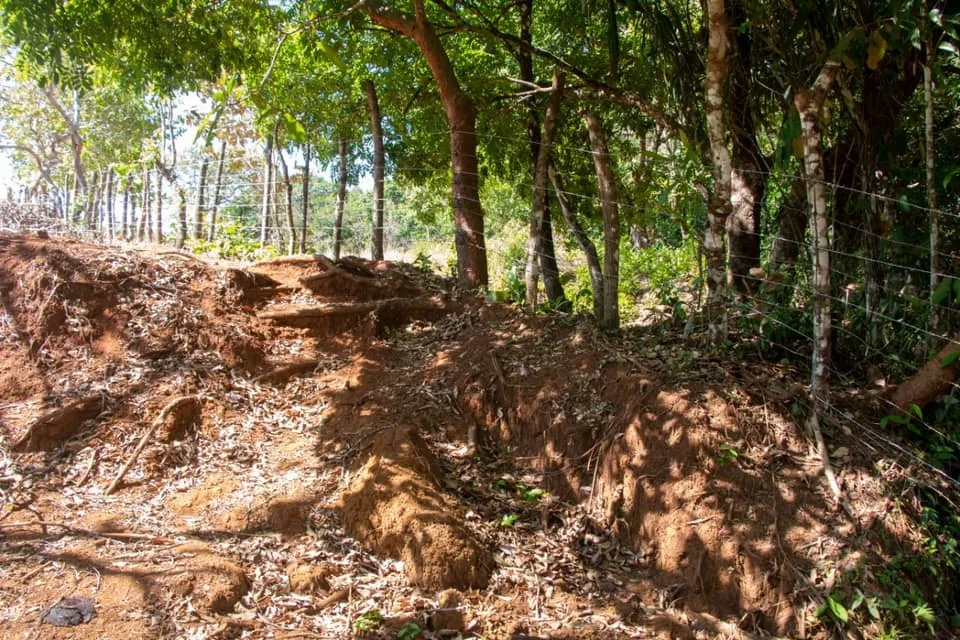 SE VENDE GRAN TERRENO EN AGUAS BLANCAS, VERAGUAS. DE 55 HECTAREAS