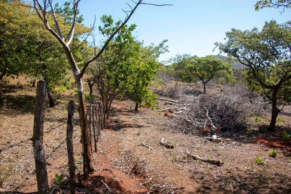 SE VENDE GRAN TERRENO EN AGUAS BLANCAS, VERAGUAS. DE 55 HECTAREAS