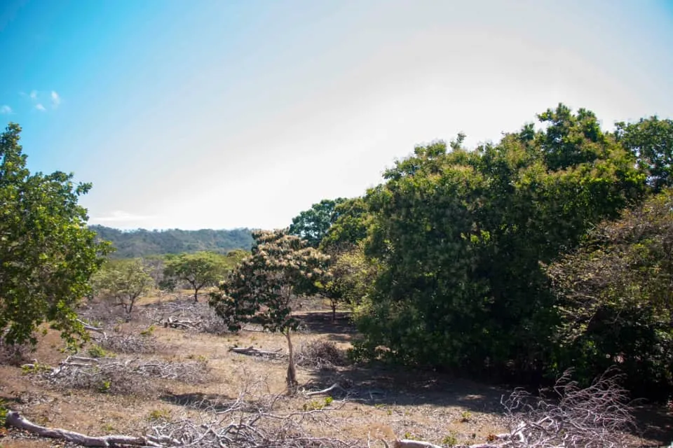 SE VENDE GRAN TERRENO EN AGUAS BLANCAS, VERAGUAS. DE 55 HECTAREAS