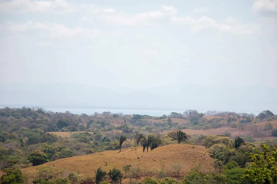 SE VENDE GRAN TERRENO EN AGUAS BLANCAS, VERAGUAS. DE 55 HECTAREAS