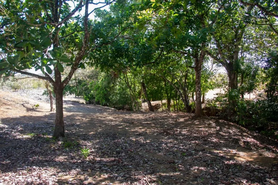 SE VENDE GRAN TERRENO EN AGUAS BLANCAS, VERAGUAS. DE 55 HECTAREAS