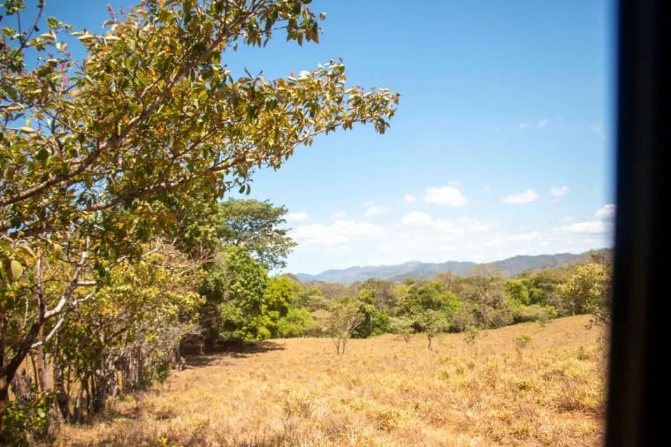 SE VENDE GRAN TERRENO EN AGUAS BLANCAS, VERAGUAS. DE 55 HECTAREAS