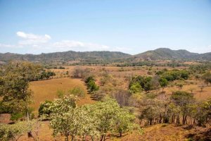 SE VENDE GRAN TERRENO EN AGUAS BLANCAS, ...