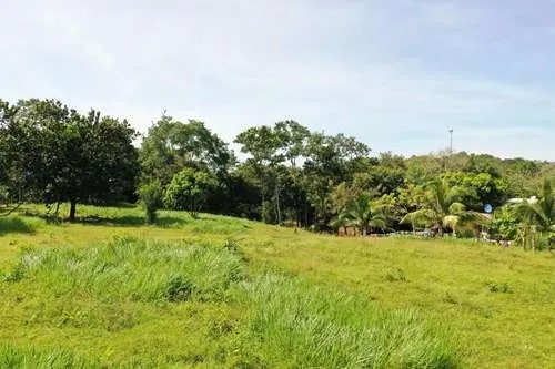 LAND FOR SALE IN SANTA CATALINA, ONE HECTARE