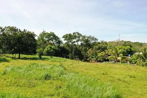 TERRENO EN VENTA EN SANTA CATALINA, UNA HECTÁREA