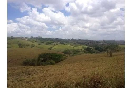 LAND FOR SALE IN PLAYA LEONA, LA CHORRERA. PANAMÁ. 143 HECTARES