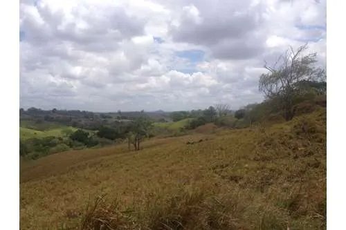 LAND FOR SALE IN PLAYA LEONA, LA CHORRERA. PANAMÁ. 143 HECTARES