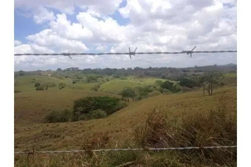 LAND FOR SALE IN PLAYA LEONA, LA CHORRERA. PANAMÁ. 143 HECTARES