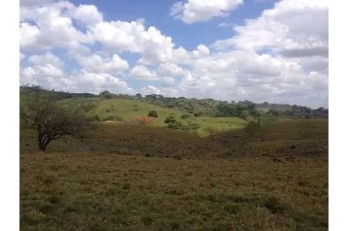LAND FOR SALE IN PLAYA LEONA, LA CHORRERA. PANAMÁ. 143 HECTARES