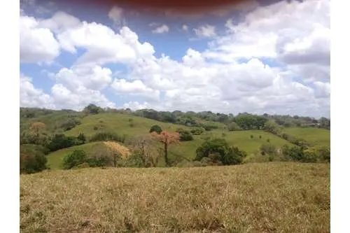 LAND FOR SALE IN PLAYA LEONA, LA CHORRERA. PANAMÁ. 143 HECTARES