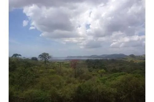 LAND FOR SALE IN PLAYA LEONA, LA CHORRERA. PANAMÁ. 143 HECTARES