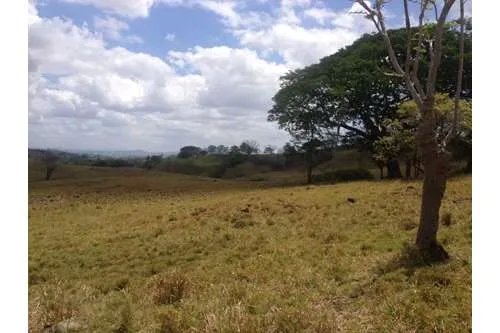 LAND FOR SALE IN PLAYA LEONA, LA CHORRERA. PANAMÁ. 143 HECTARES