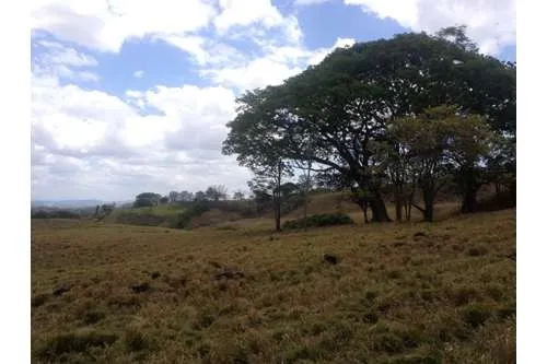 SE VENDE TERRENO EN PLAYA LEONA, LA CHORRERA. PANAMÁ. 143 HECTARÉAS