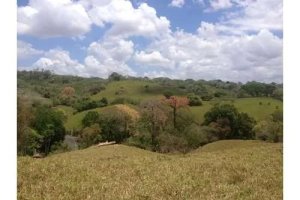LAND FOR SALE IN PLAYA LEONA, LA CHORRER...