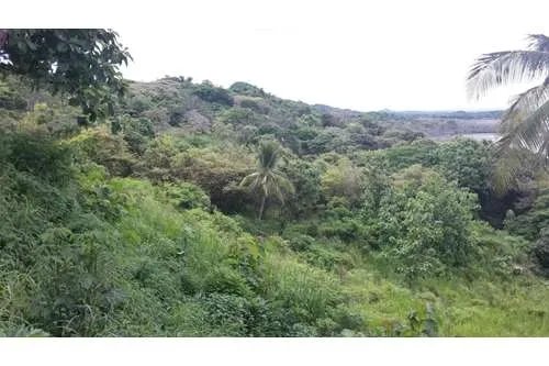LAND FOR SALE IN PLAYA LEONA OF 14.5 HECTARES IN FRONT OF THE PACIFIC ...