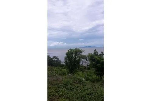 LAND FOR SALE IN PLAYA LEONA OF 14.5 HECTARES IN FRONT OF THE PACIFIC ...