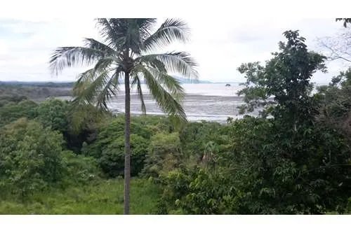 LAND FOR SALE IN PLAYA LEONA OF 14.5 HECTARES IN FRONT OF THE PACIFIC SEA, LA CHORRERA. PANAMA.