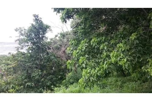 LAND FOR SALE IN PLAYA LEONA OF 14.5 HECTARES IN FRONT OF THE PACIFIC SEA, LA CHORRERA. PANAMA.