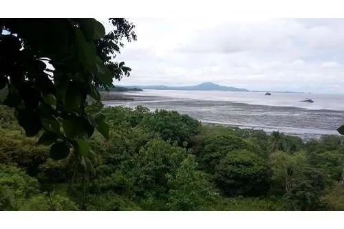 LAND FOR SALE IN PLAYA LEONA OF 14.5 HECTARES IN FRONT OF THE PACIFIC SEA, LA CHORRERA. PANAMA.