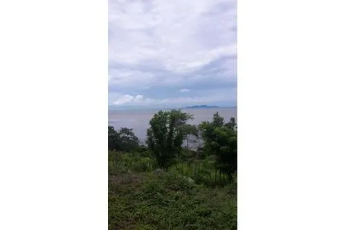 SE VENDE TERRENO EN PLAYA LEONA DE 14.5 HECTAREAS FRENTE AL MAR PACIFI...