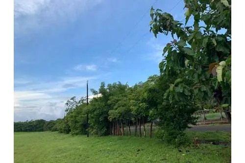 Land For Sale in Hicaco, near to Santa Catalina, veraguas. Panamá.