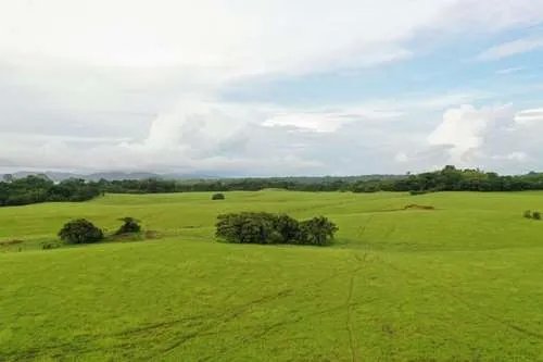 Land For Sale in Hicaco, near to Santa Catalina, veraguas. Panamá.