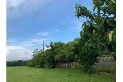 Land For Sale in Hicaco, near to Santa Catalina, veraguas. Panamá.