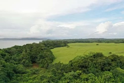 Land For Sale in Hicaco, near to Santa Catalina, veraguas. Panamá.