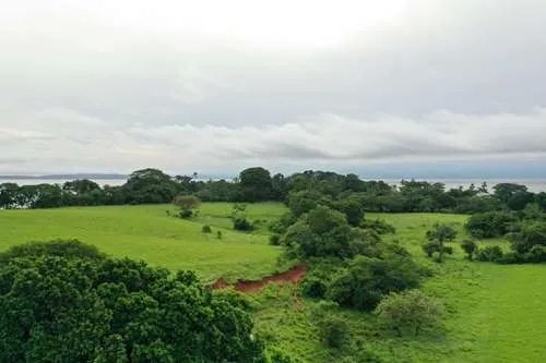 Land For Sale in Hicaco, near to Santa Catalina, veraguas. Panamá.