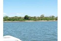 SPECTACULAR PROPERTY FOR SALE IN PLAYA EL GATO
