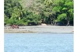 SPECTACULAR PROPERTY FOR SALE IN PLAYA EL GATO