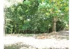 SPECTACULAR PROPERTY FOR SALE IN PLAYA EL GATO