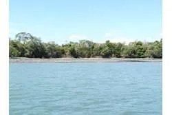 SPECTACULAR PROPERTY FOR SALE IN PLAYA EL GATO
