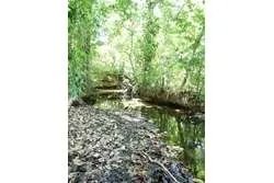 SPECTACULAR PROPERTY FOR SALE IN PLAYA EL GATO