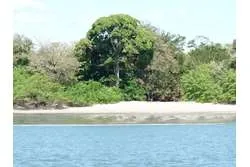 SE VENDE ESPECTACULAR PROPIEDAD EN PLAYA EL GATO
